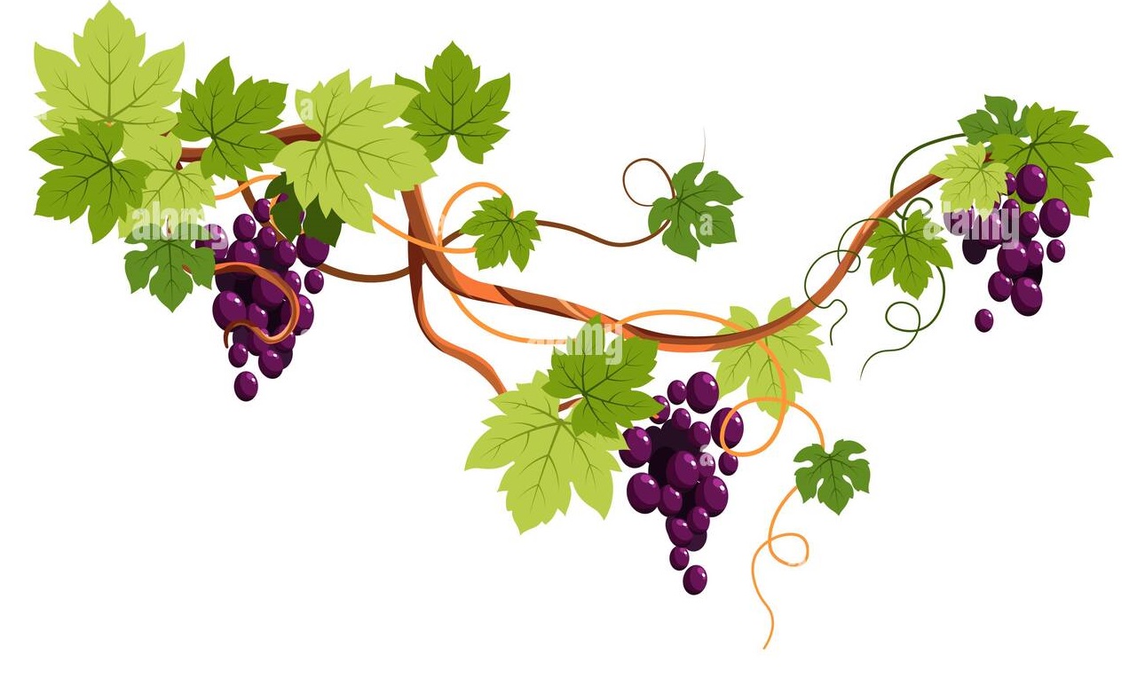 Login image